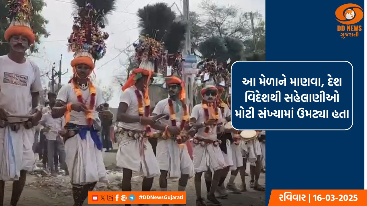 હોળીના ત્રીજા દિવસે કવાંટ ખાતે યોજાયો ઘેરનો મેળો 