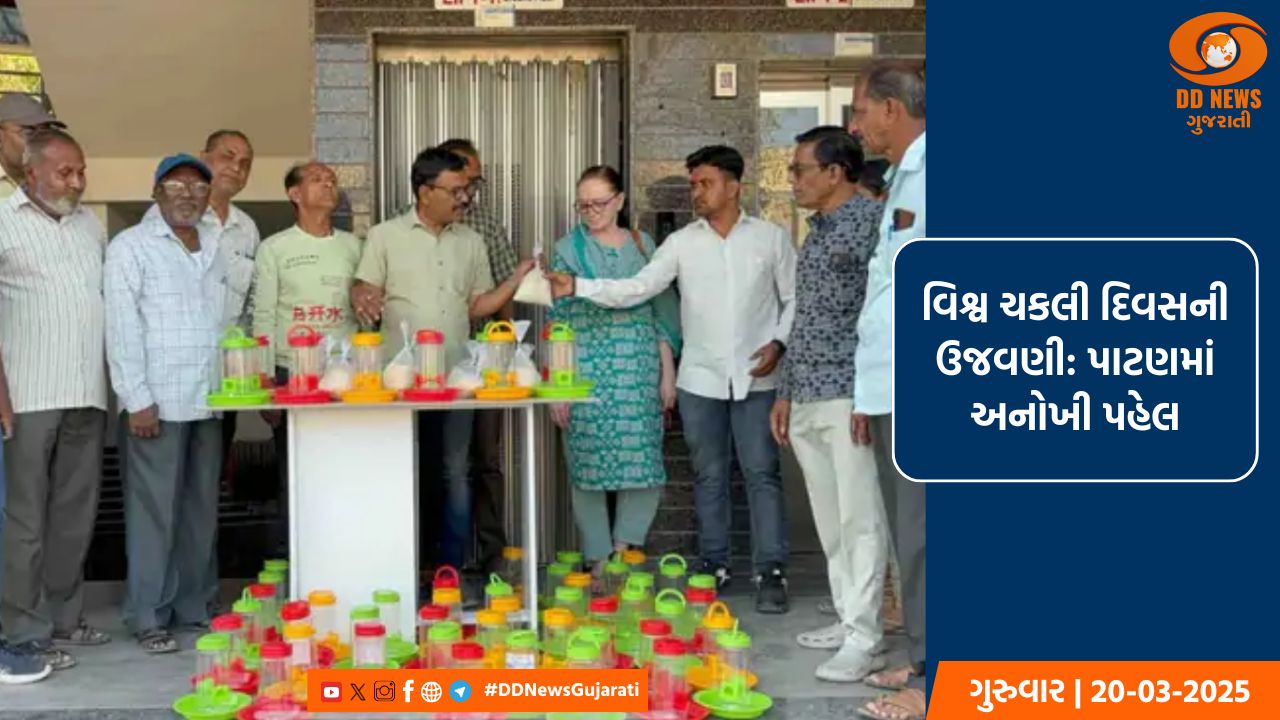 વિશ્વ ચકલી દિવસની ઉજવણી: પાટણમાં અનોખી પહેલ