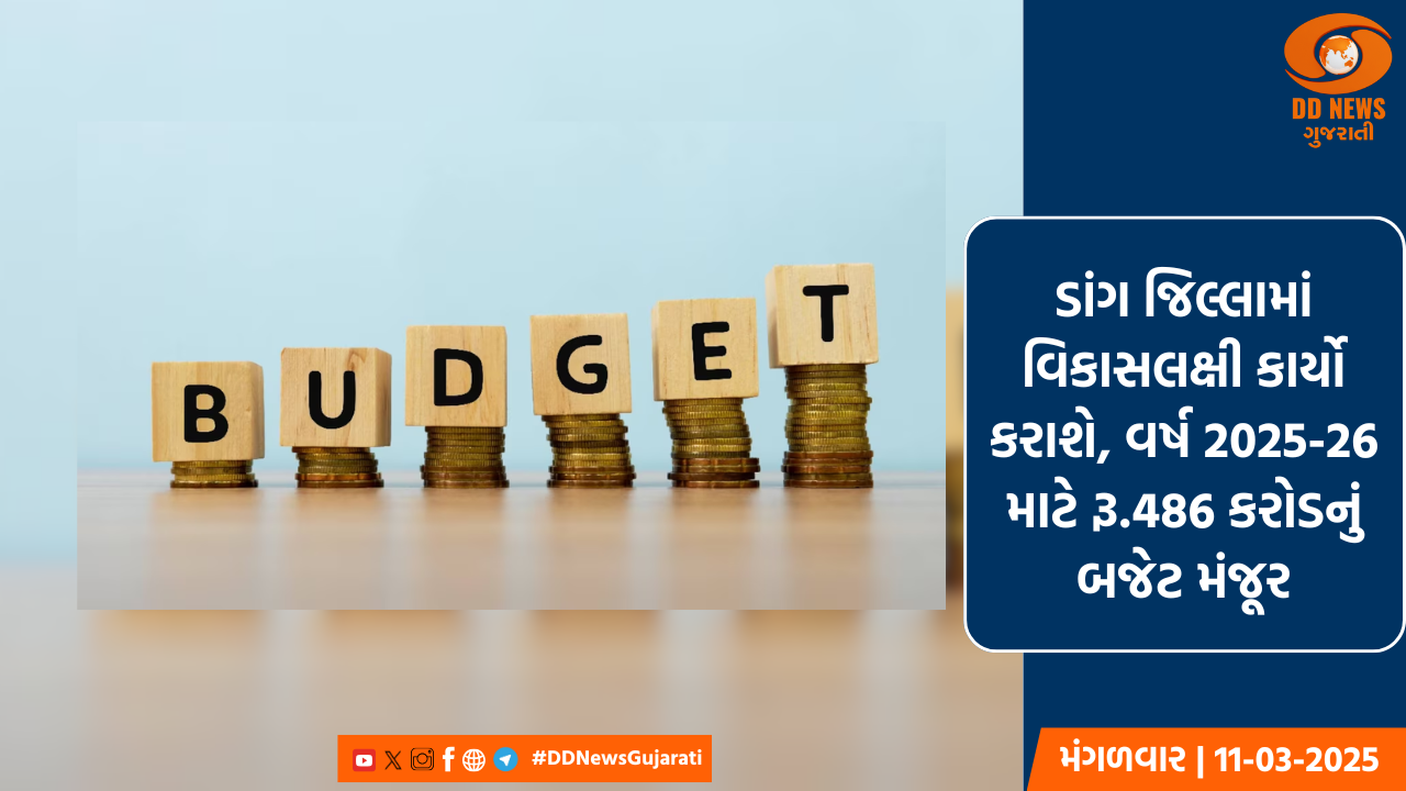 ડાંગ જિલ્લામાં વિકાસલક્ષી કાર્યો કરાશે, વર્ષ 2025-26 માટે રૂ.486 કરોડનું બજેટ મંજૂર