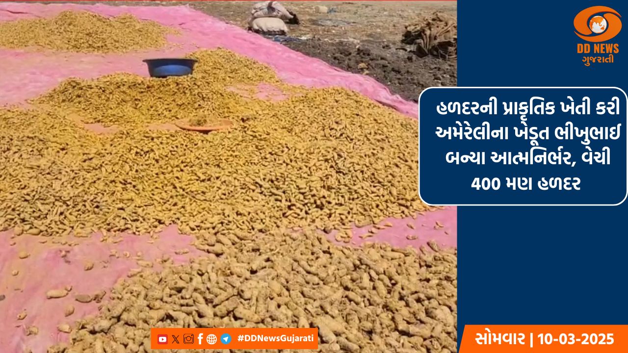 હરિયાણા વિધાનસભાની ચૂંટણીને લઇને અમિત શાહે ચૂંટણી રેલીને સંબોધિત કરી 