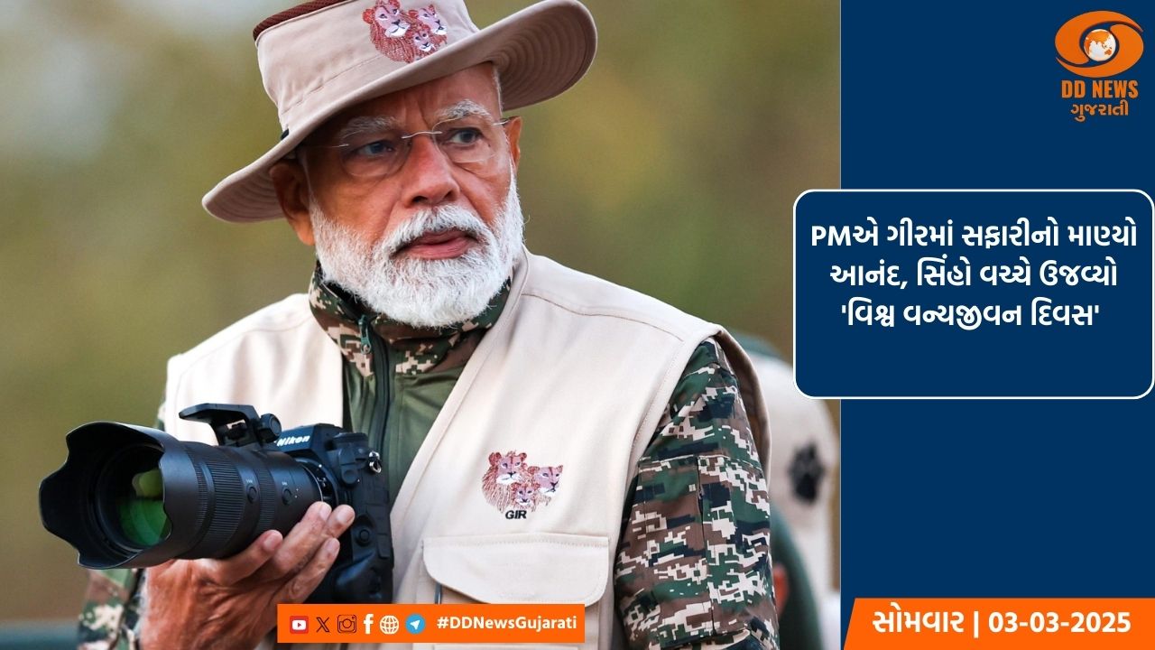PMએ ગીરમાં સફારીનો માણ્યો આનંદ, સિંહો વચ્ચે ઉજવ્યો 'વિશ્વ વન્યજીવન દિવસ' 