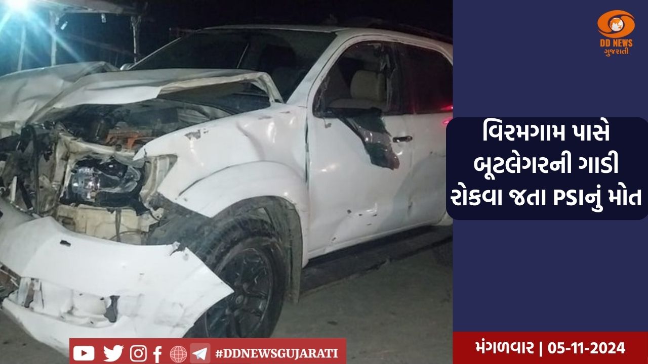 ભારતના સૌ પ્રથમ ડાયનાસોર ફોસીલ પાર્ક મ્યુઝીયમનું મુખ્યમંત્રી વિજય રૂપાણીના હસ્તે લોકાર્પણ