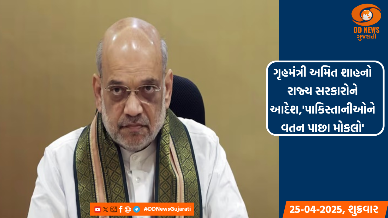 ગૃહમંત્રી અમિત શાહનો રાજ્ય સરકારોને આદેશ,'પાકિસ્તાનીઓને વતન પાછા મોકલો'