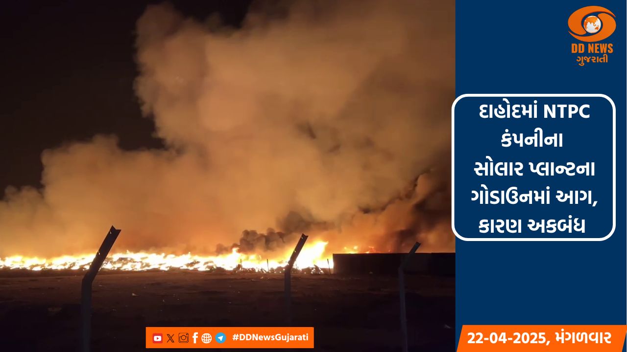 દાહોદમાં NTPC કંપનીના સોલાર પ્લાન્ટના ગોડાઉનમાં આગ, કારણ અકબંધ 