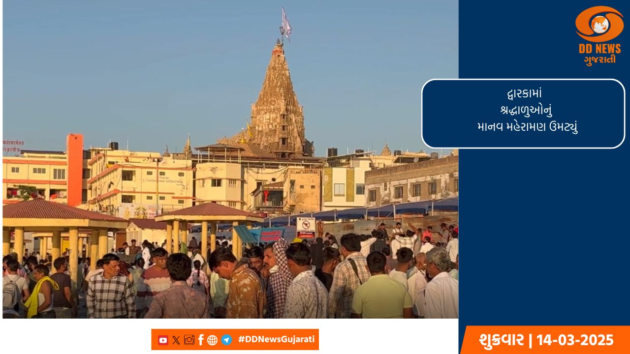 જગતમંદિરમાં ભક્તોએ ભગવાન સાથે કરી  ફુલડોલ ઉત્સવની ઉજવણી 