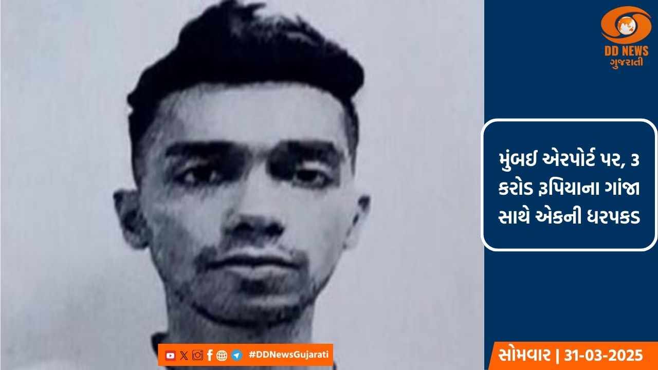મુંબઈ એરપોર્ટ પર, 3 કરોડ રૂપિયાના ગાંજા સાથે એકની ધરપકડ