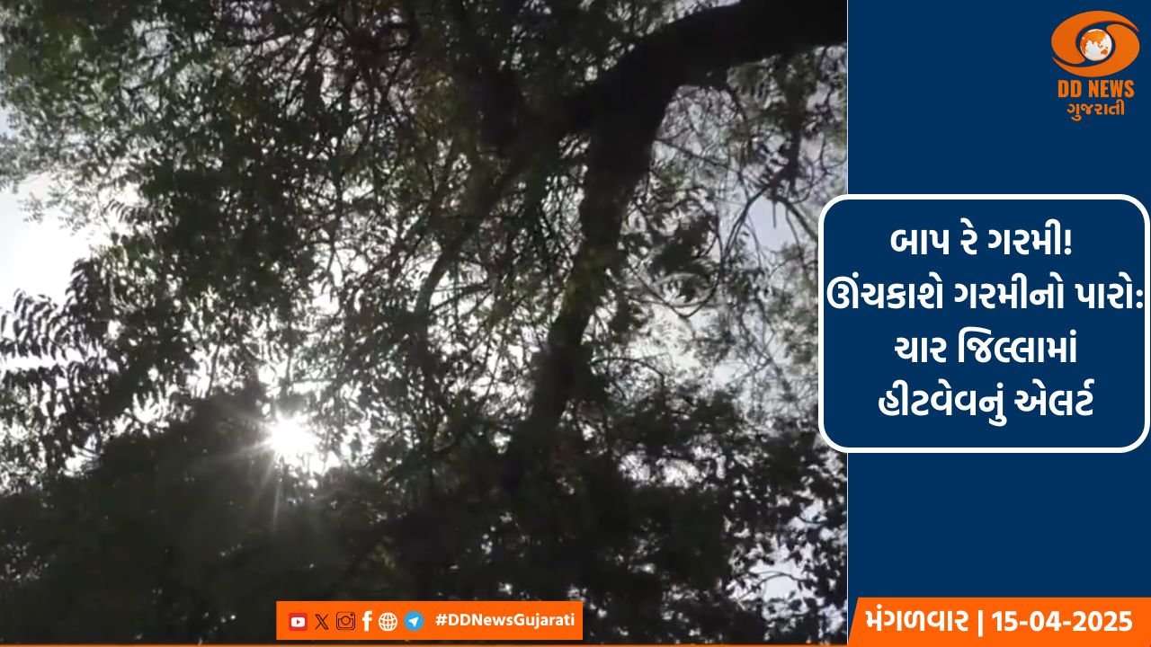 બાપ રે ગરમી! ઊંચકાશે ગરમીનો પારો: રાજ્યના ચાર જિલ્લામાં હીટવેવનું એલર્ટ