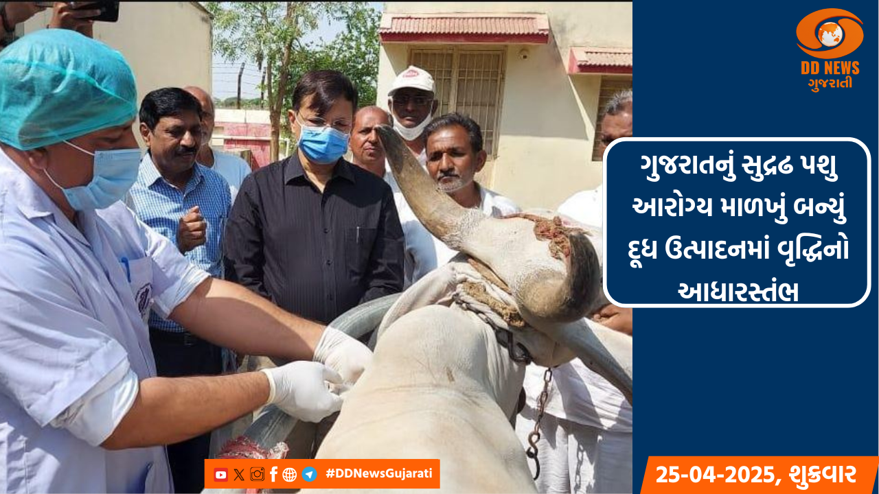 ગુજરાતનું સુદ્રઢ પશુ આરોગ્ય માળખું બન્યું દૂધ ઉત્પાદનમાં વૃદ્ધિનો આધારસ્તંભ