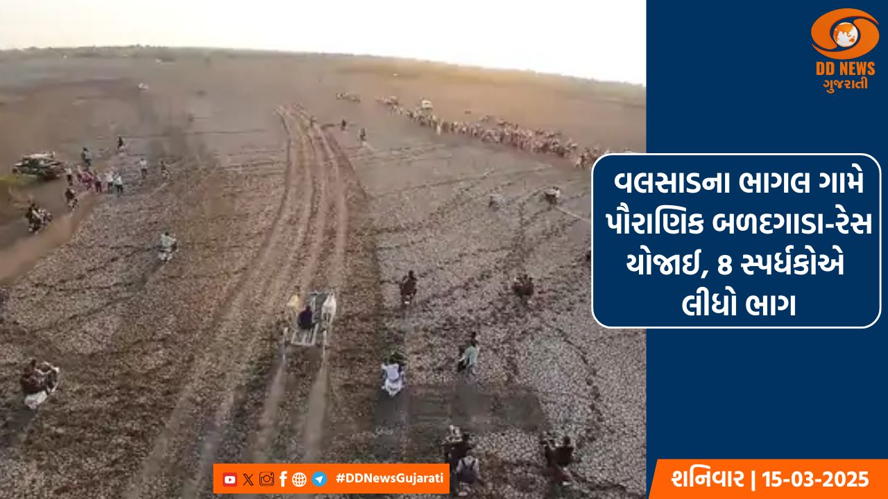 વલસાડના ભાગલ ગામે પૌરાણિક બળદગાડા-રેસ યોજાઈ, 8 સ્પર્ધકોએ લીધો ભાગ