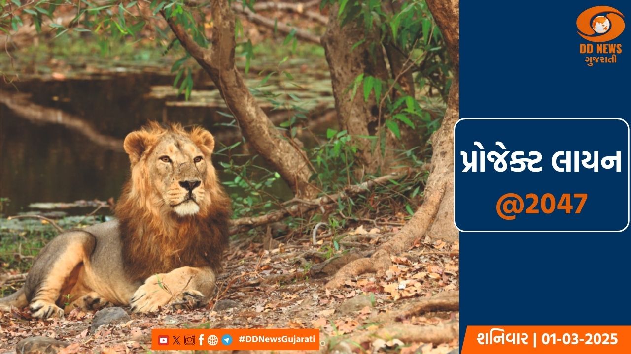 ‘પ્રોજેક્ટ લાયન -  @2047’: એશિયાઇ સિંહોના સંરક્ષણમાં સક્રિય