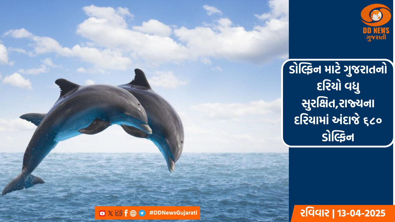 ડોલ્ફિન માટે ગુજરાતનો દરિયો વધુ સુરક્ષિત,રાજ્યના દરિયામાં અંદાજે ૬૮૦ ડોલ્ફિન
