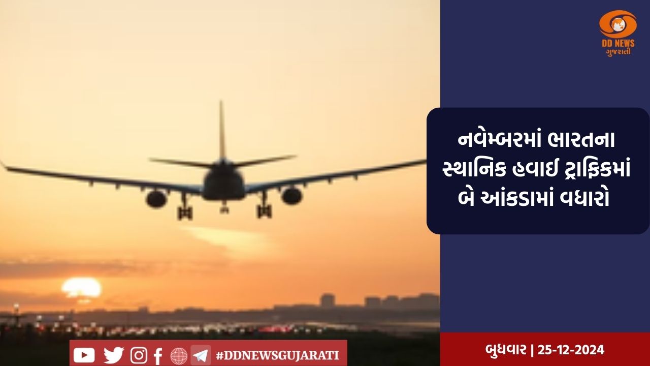 નવેમ્બરમાં ભારતના સ્થાનિક હવાઈ ટ્રાફિકમાં બે આંકડામાં વધારો 