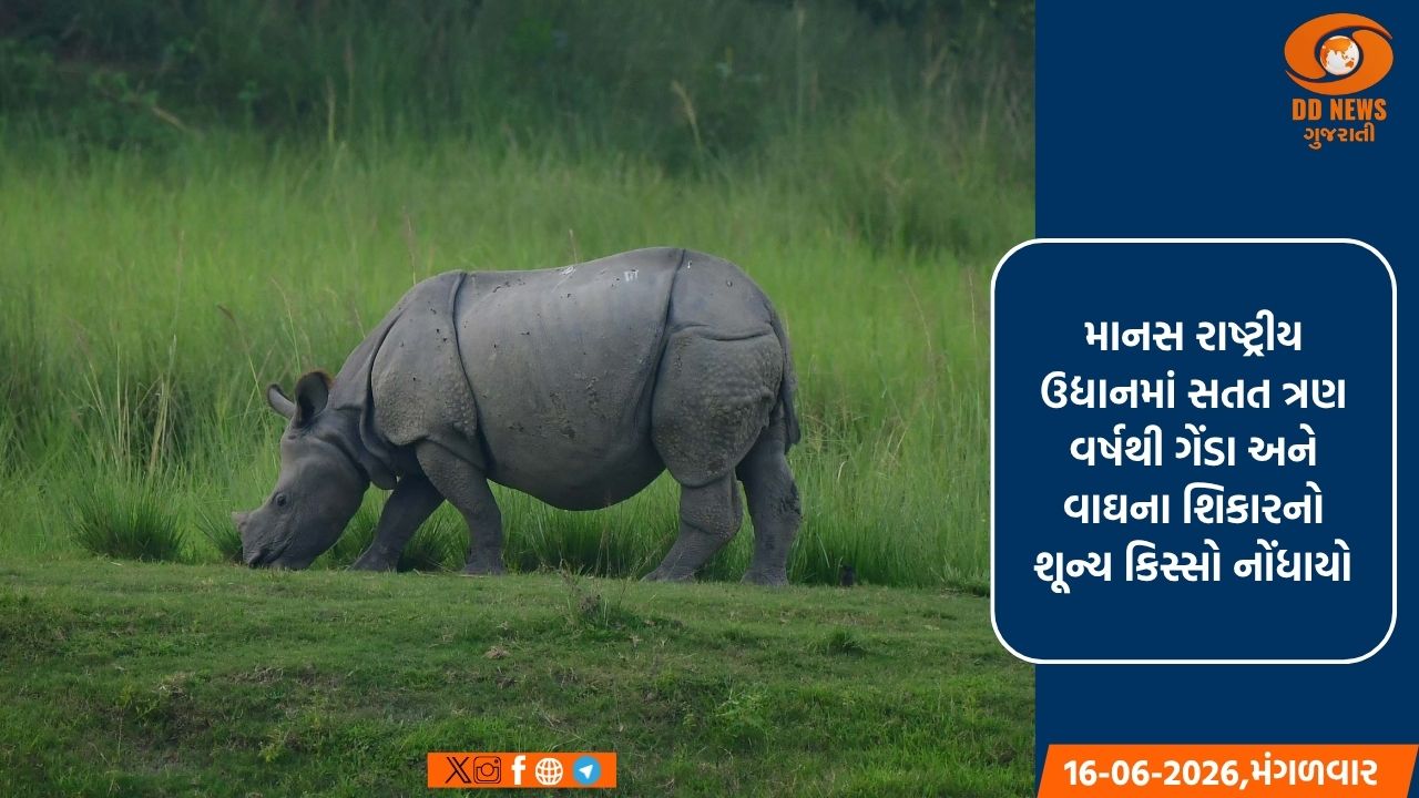 આસામ માટે એક મોટી સિદ્ધિ, માનસ રાષ્ટ્રીય ઉદ્યાનમાં ત્રણ વર્ષથી નોંધાયો શિકારનો શૂન્ય કિસ્સો  