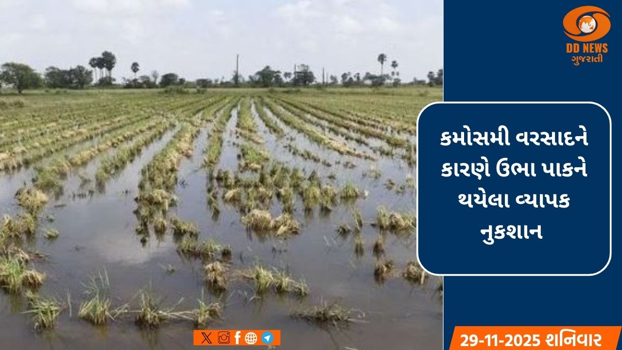 ખેડૂતોને મોટી રાહત: કૃષિ સહાય પેકેજની અરજીની સમયમર્યાદા લંબાવાઈ