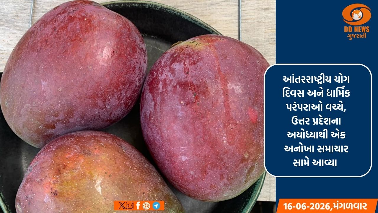 અયોધ્યામાં પહેલી વાર ભગવાન રામને અર્પણ કરાયેલ દુર્લભ જાપાની મિયાઝાકી કેરી