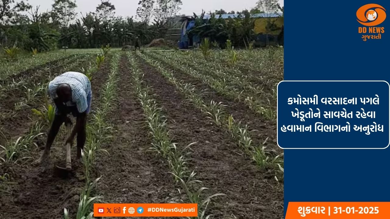 કમોસમી વરસાદના પગલે ખેડૂતોને સાવચેત રહેવા હવામાન વિભાગનો અનુરોધ 