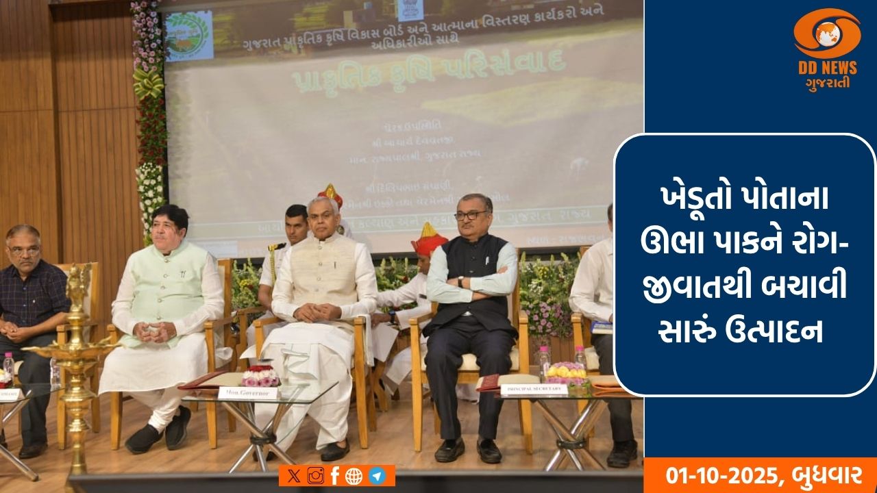 દિવેલાના ઊભા પાકમાં રોગ-જીવાતના ઉપદ્વવ ઘટાડવા અંગે લેવાના પગલાં અંગે માર્ગદર્શિકા જાહેર 