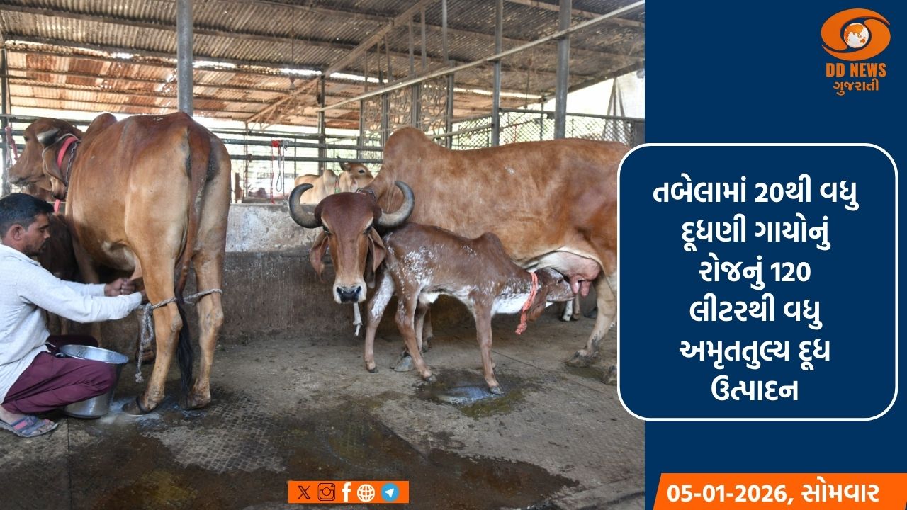 શોખથી શરુ થયેલી ગૌ સેવાએ આજે સાંતેજના મહેન્દ્ર પટેલને ગાંધીનગર જિલ્લાના “શ્રેષ્ઠ પશુપાલક”નું અપાવ્યુ સન્માન 