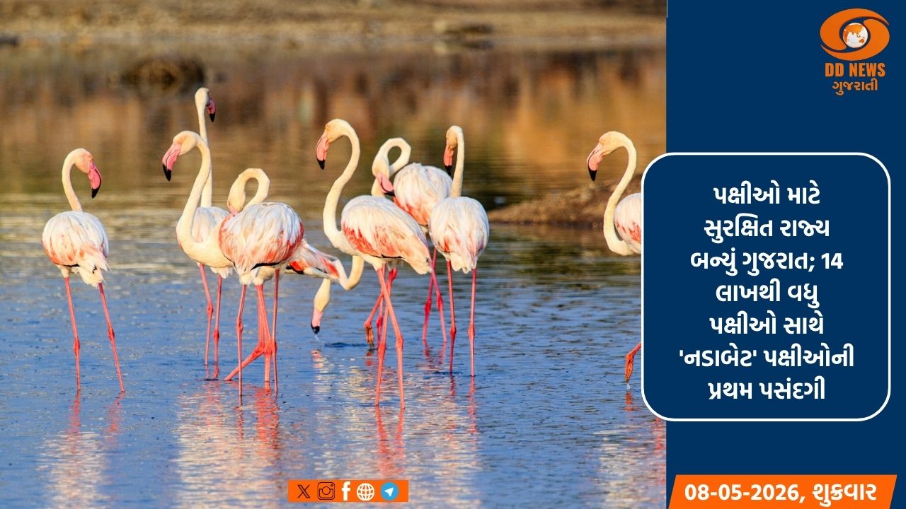 ગુજરાત યાયાવર પક્ષીઓનું મનપસંદ આશ્રયસ્થાન: વર્ષ 2025-26માં 35 લાખથી વધુ પક્ષીઓનું આગમન
