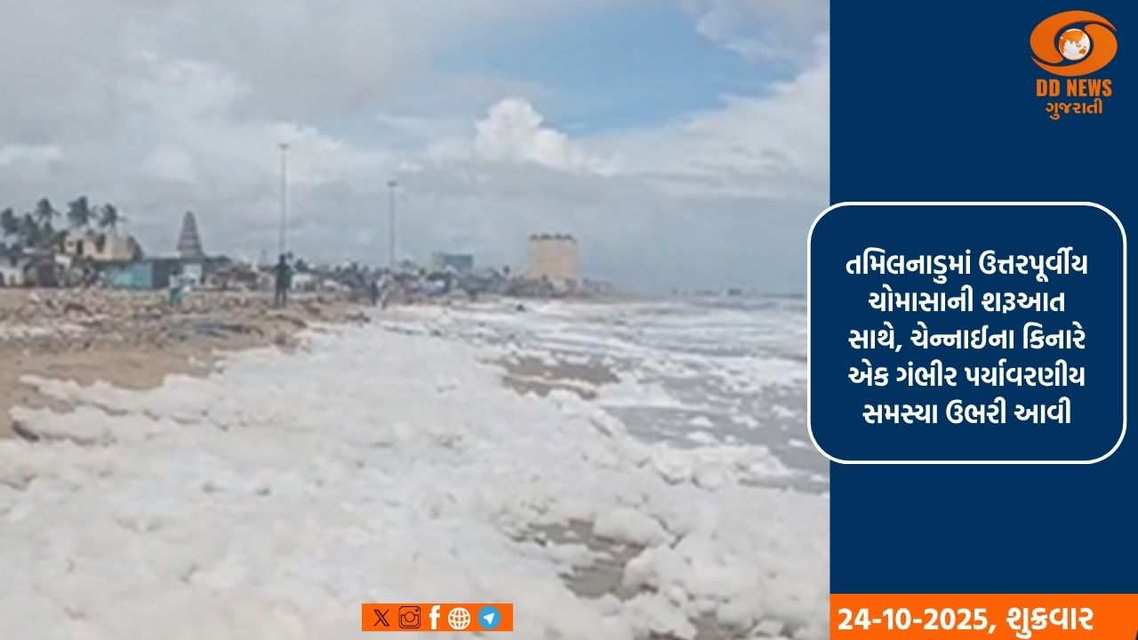 ચેન્નાઈના કિનારે ઝેરી ફીણ રચાય છે, જેનાથી માછીમારોની આજીવિકા જોખમાઈ 