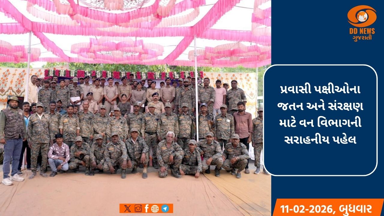 નળસરોવર પક્ષી ગણતરી 2026 સંપન્ન: 270 પ્રજાતિના 6.42 લાખથી વધુ પક્ષીઓની થઈ નોંધણી