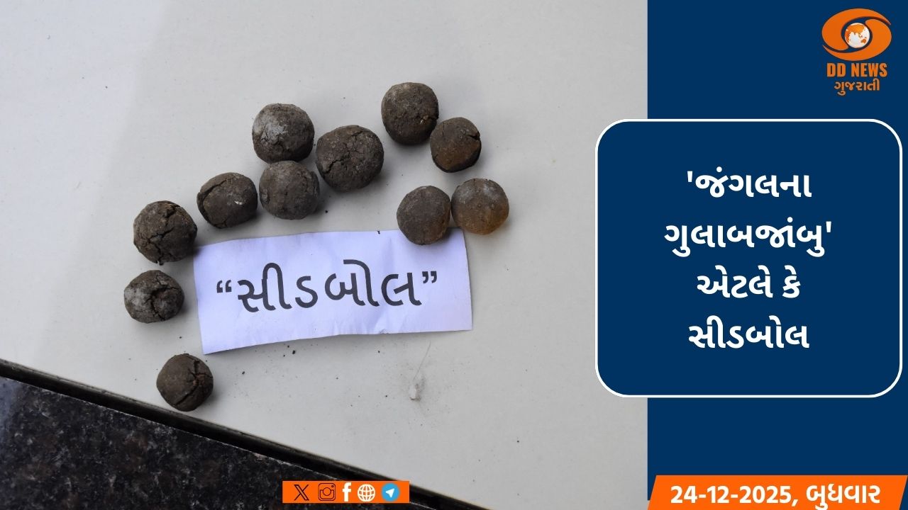 તાપીના વિજેશ ગામીતે વેરાન વગડામાં 90 હજાર સીડબોલ ફેંકીને ધરતીના સુકા શ્વાસમાં કરી હરિયાળી 