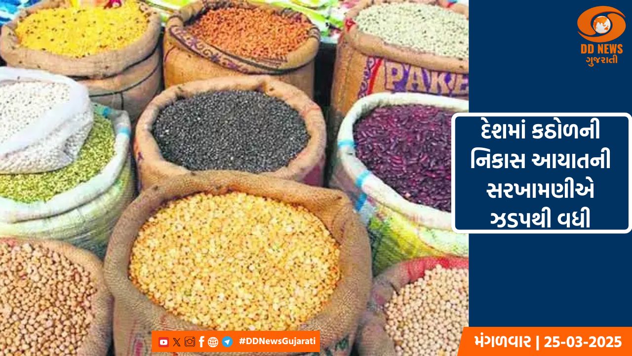 'આત્મનિર્ભર વિઝન' હેઠળ કઠોળમાં આત્મનિર્ભર બની રહેલું ભારત