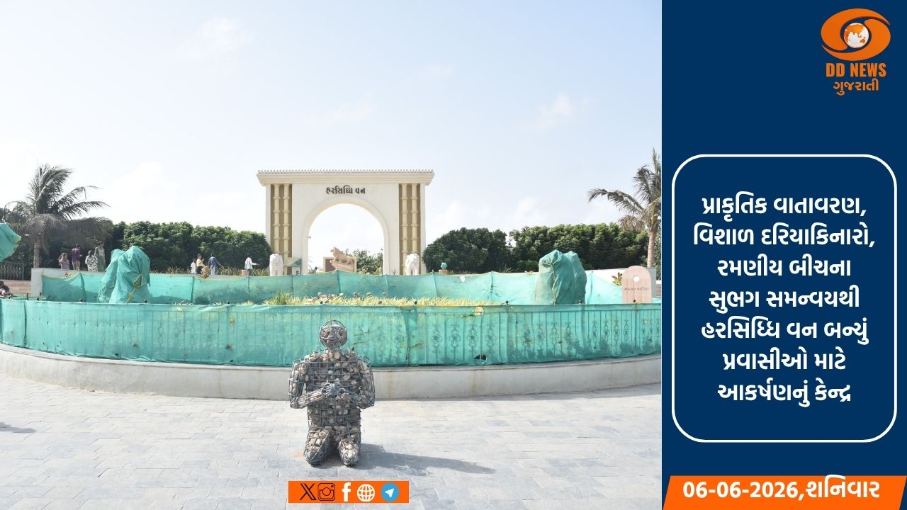 પ્રકૃતિ અને સંસ્કૃતિનો સુભગ સમન્વય: દેવભૂમિ દ્વારકાનું 'હરસિદ્ધિ વન' પ્રવાસીઓ માટે બન્યું આકર્ષણનું કેન્દ્ર