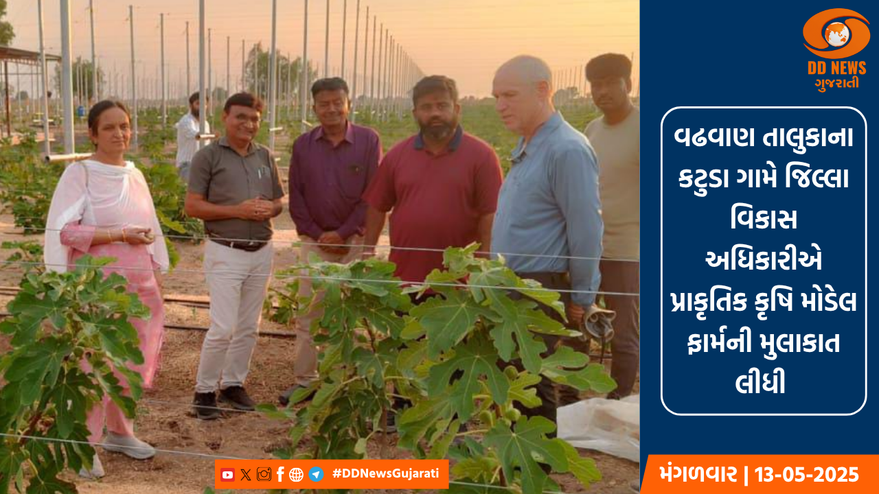 સુરેન્દ્રનગરના વઢવાણ તાલુકાના કટુડા ગામે જિલ્લા વિકાસ અધિકારીએ પ્રાકૃતિક કૃષિ મોડેલ ફાર્મની મુલાકાત લીધી  