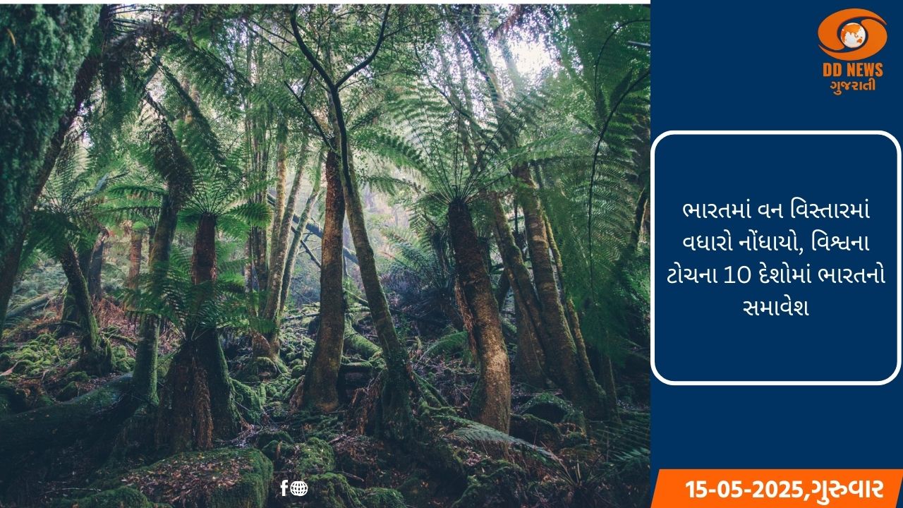 ભારતમાં વન વિસ્તારમાં વધારો નોંધાયો, વિશ્વના ટોચના 10 દેશોમાં ભારતનો સમાવેશ