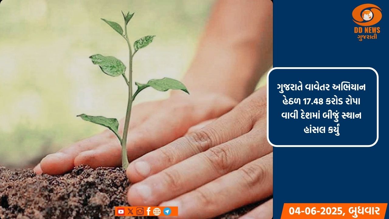 ગુજરાતે વાવેતર અભિયાન હેઠળ 17.48 કરોડ રોપા વાવી દેશમાં બીજું સ્થાન હાંસલ કર્યું