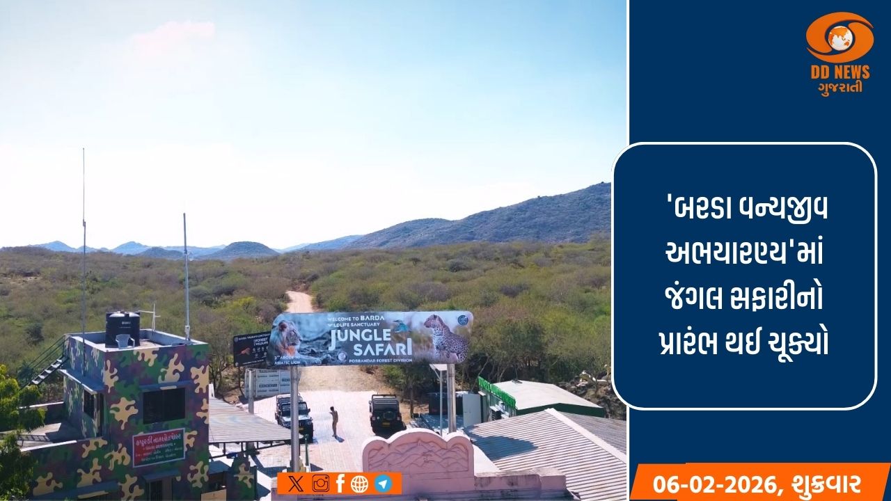 વર્ષોની પ્રતીક્ષા બાદ પોરબંદરનો 'બરડા ડુંગર' સિંહોના સુરક્ષિત આશરા તરીકે સજ્જ થયો