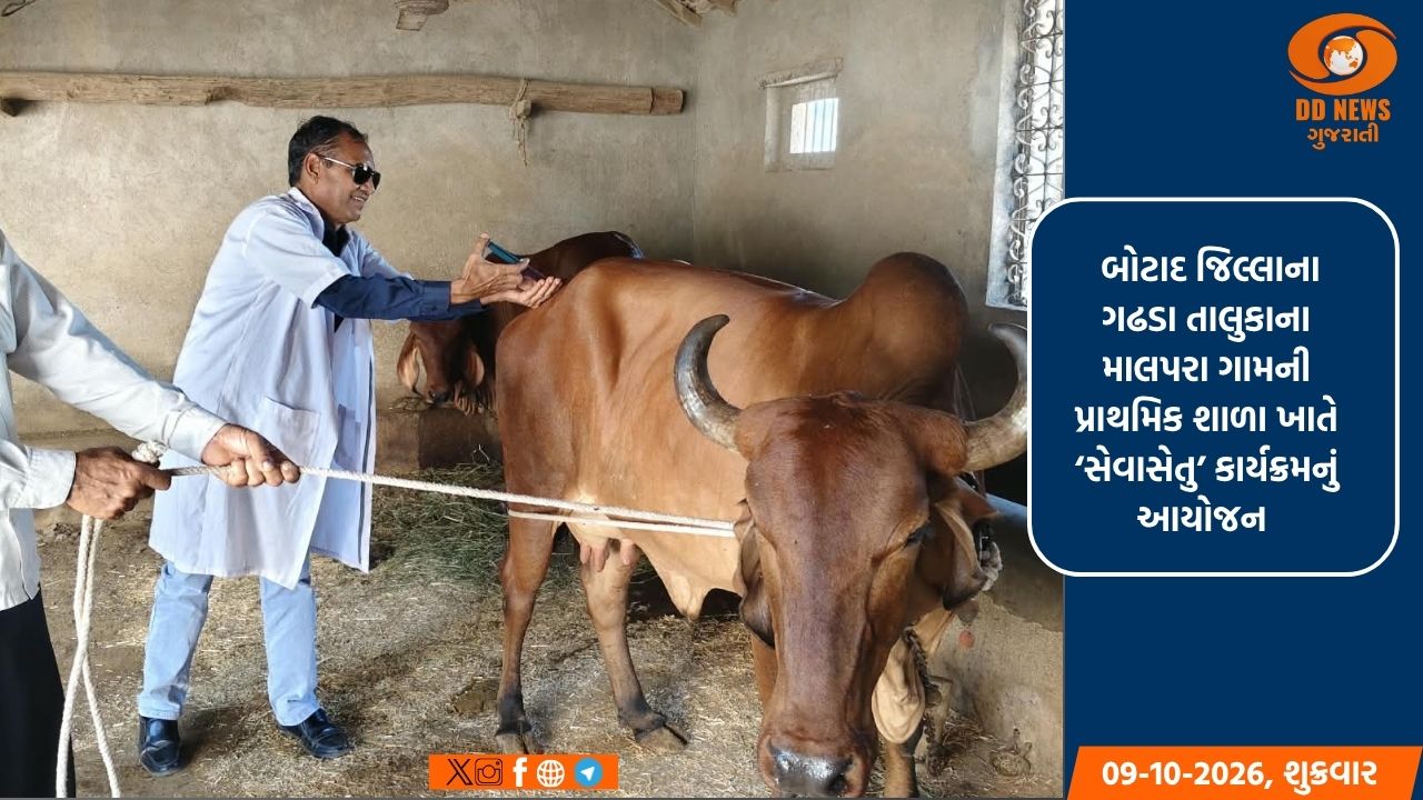 માલપરા ગામે સેવાસેતુ કાર્યક્રમ યોજાયો