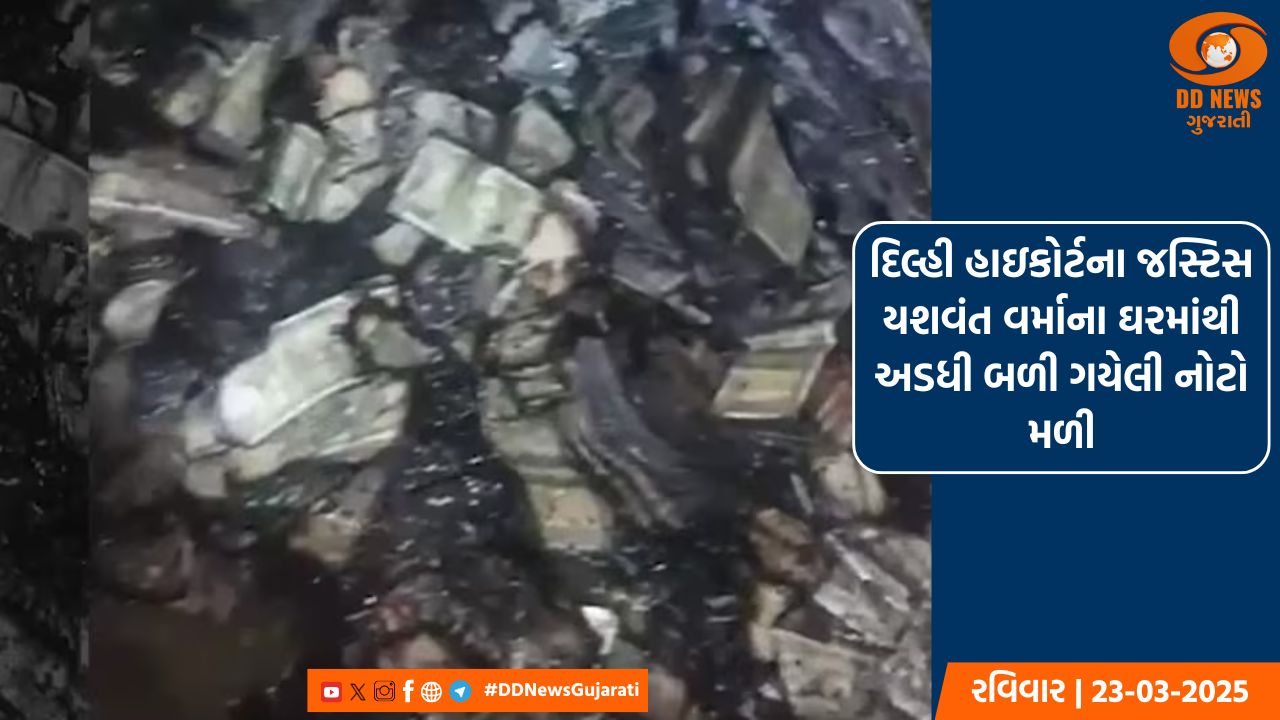 સુપ્રીમ કોર્ટે જસ્ટિસ યશવંત વર્માના ઘરની અંદરનો વીડિયો જાહેર કર્યો, 4-5 બોરીઓમાં અડધી બળી ગયેલી નોટો હતી