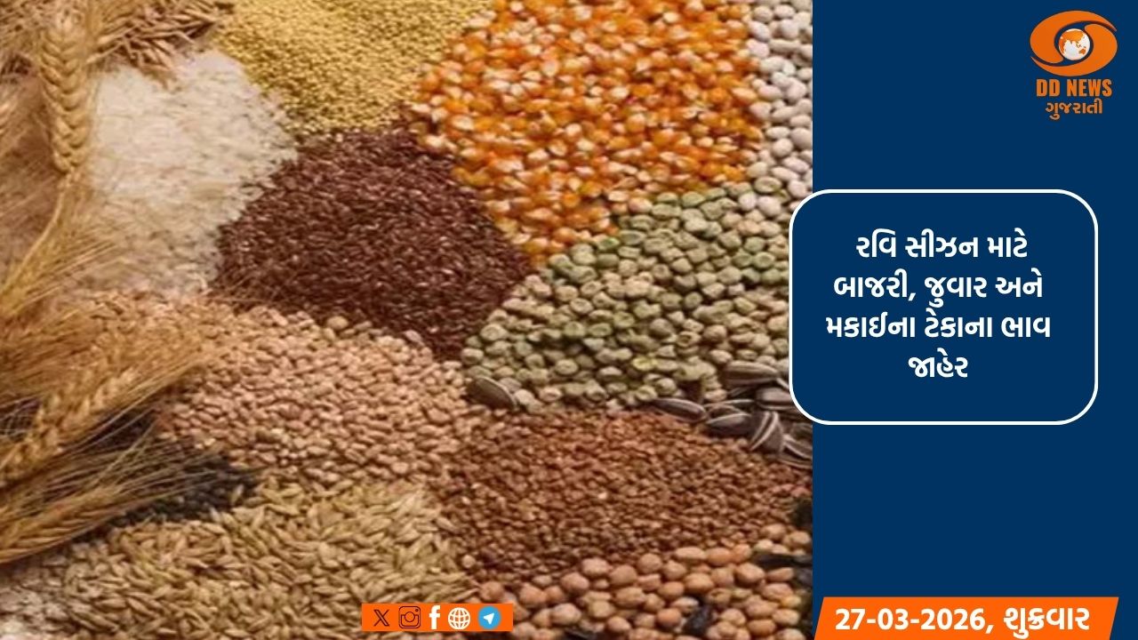 રવિ માર્કેટીંગ સીઝન 2026-27 અંતર્ગત રાજ્ય સરકાર દ્વારા ખેડૂતો પાસેથી લઘુત્તમ ટેકાના ભાવે બાજરી, જુવાર તથા મકાઈની કરાશે સીધી ખરીદી