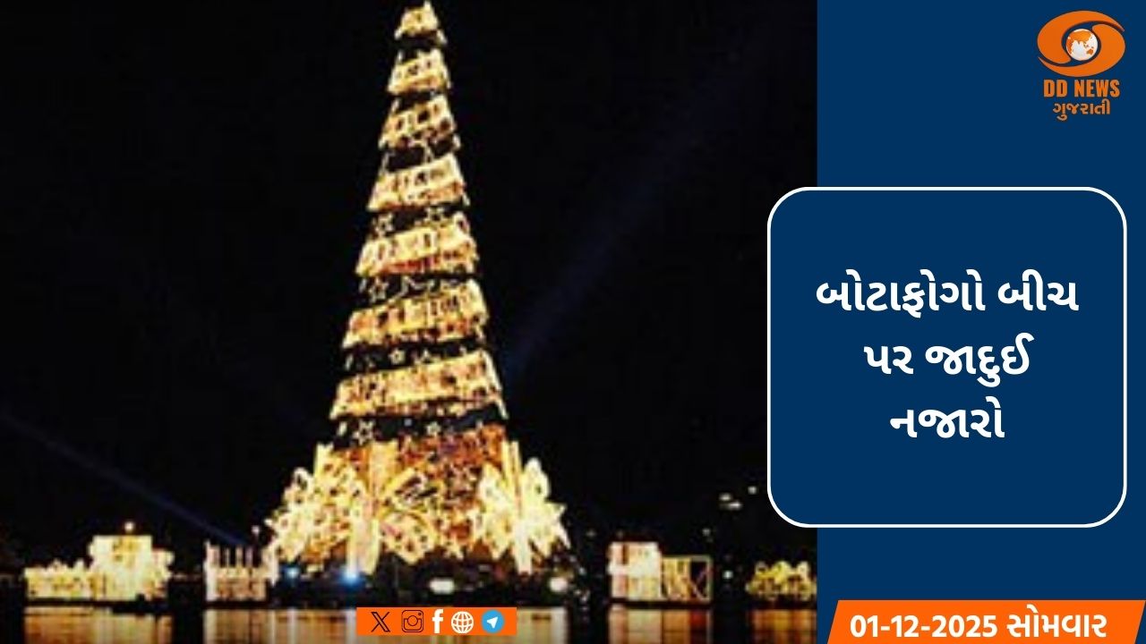 રિઓ ડી જાનેરોના બોટાફોગો બીચ પર ભવ્ય ક્રિસમસ ટ્રીનું અનાવરણ