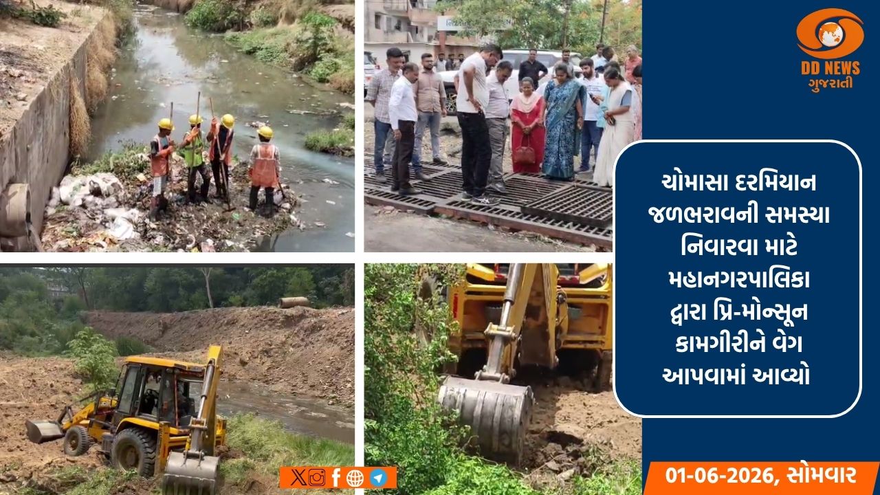 વડોદરામાં ચોમાસા પૂર્વે પ્રિ-મોન્સૂન કામગીરી તેજ: મેયર સહિતના પદાધિકારીઓ દ્વારા સ્થળ નિરીક્ષણ