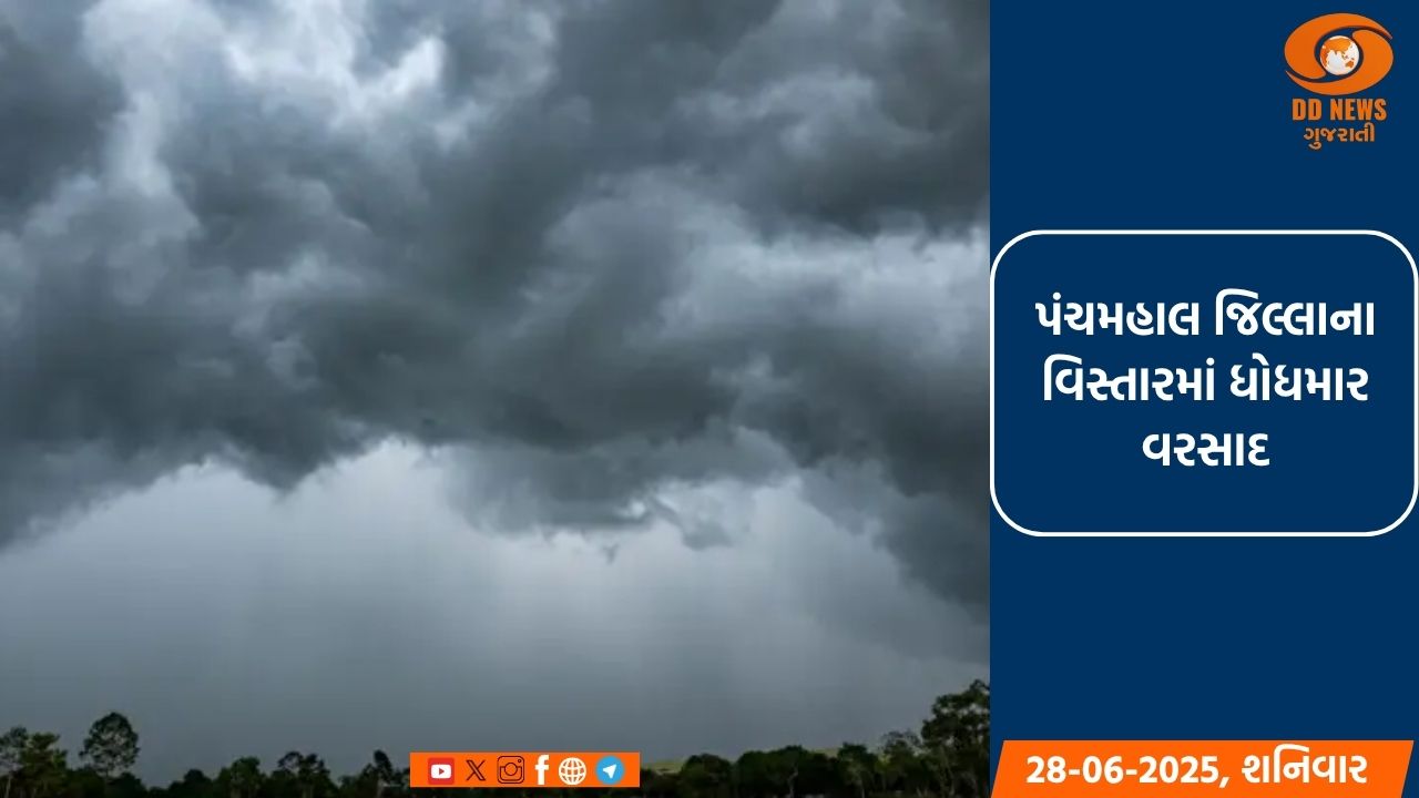 પંચમહાલ જિલ્લાના જાંબુઘોડા, પાવાગઢ અને ઘોઘંબાના પૂર્વ વિસ્તારમાં ધોધમાર વરસાદ 