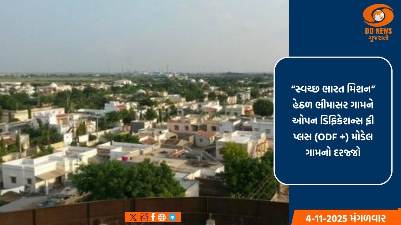ગામમાં 100 ટકા ઘરોમાં શૌચાલય,નળ જોડાણ,ડોર-ટૂ-ડોર વેસ્ટ કલેક્શન,જાહેર પુસ્તકાલય સહિત અનેક સુવિધાઓ ઉપલબ્ધ