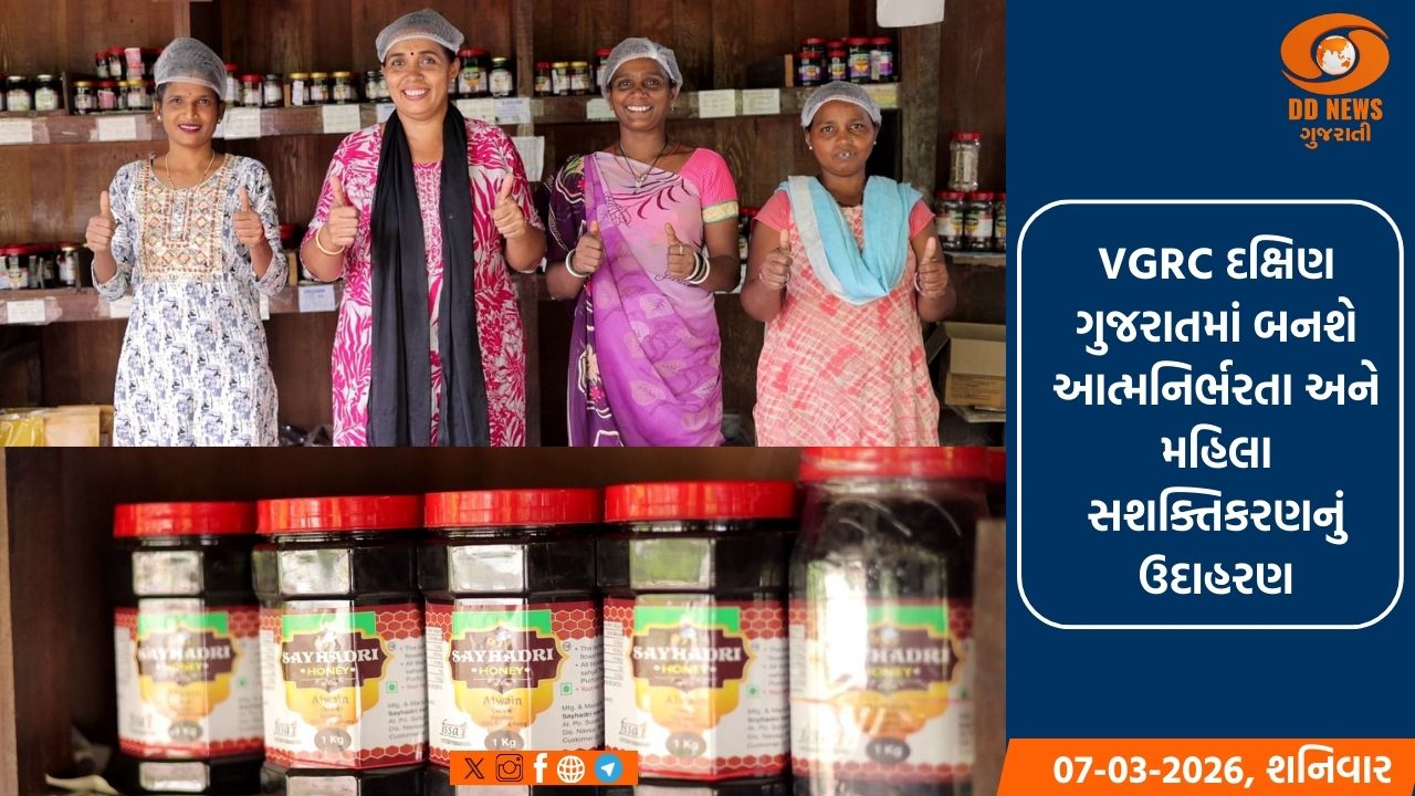 સોલધરા ગામની “લખપતિ દીદી”, જેણે ગ્રામ્ય ભૂમિ પર સ્વ-નિર્ભરતાનો નવો ઇતિહાસ રચ્યો