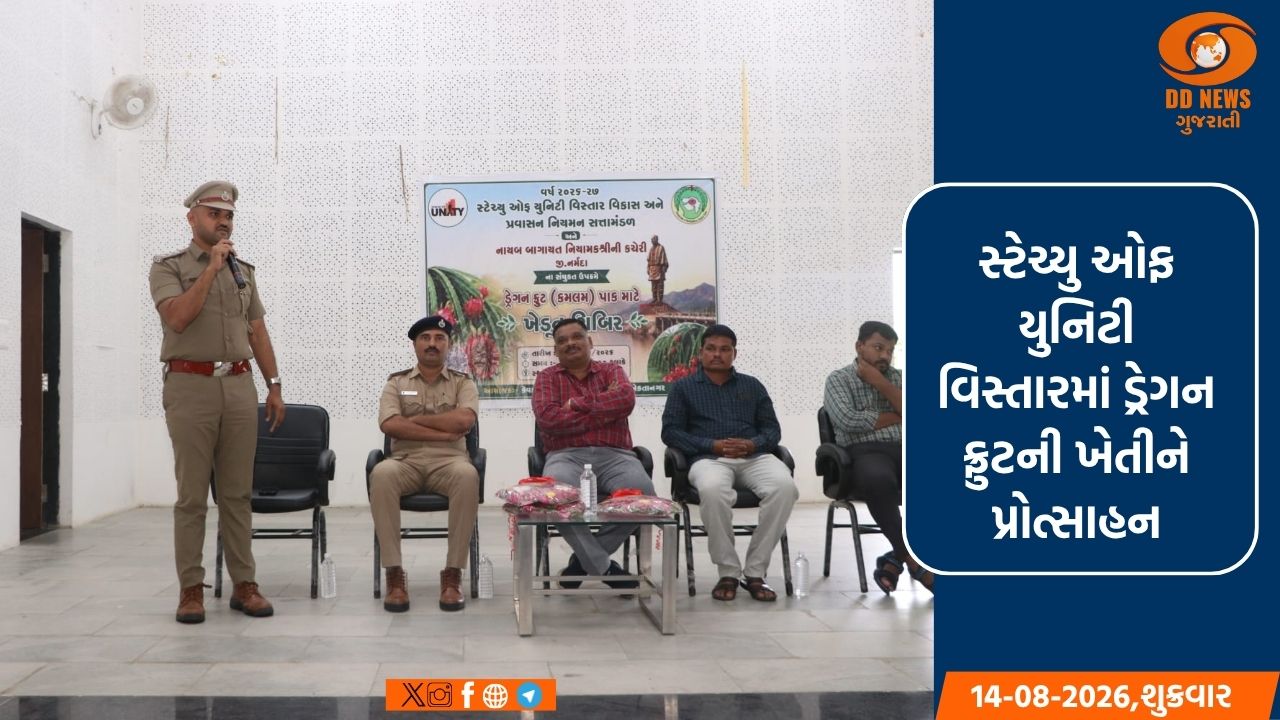 સ્ટેચ્યુ ઓફ યુનિટી વિસ્તારમાં ડ્રેગન ફ્રુટની ખેતીને પ્રોત્સાહન:104 ખેડૂતો માટે યોજાઈ તાલીમ શિબિર