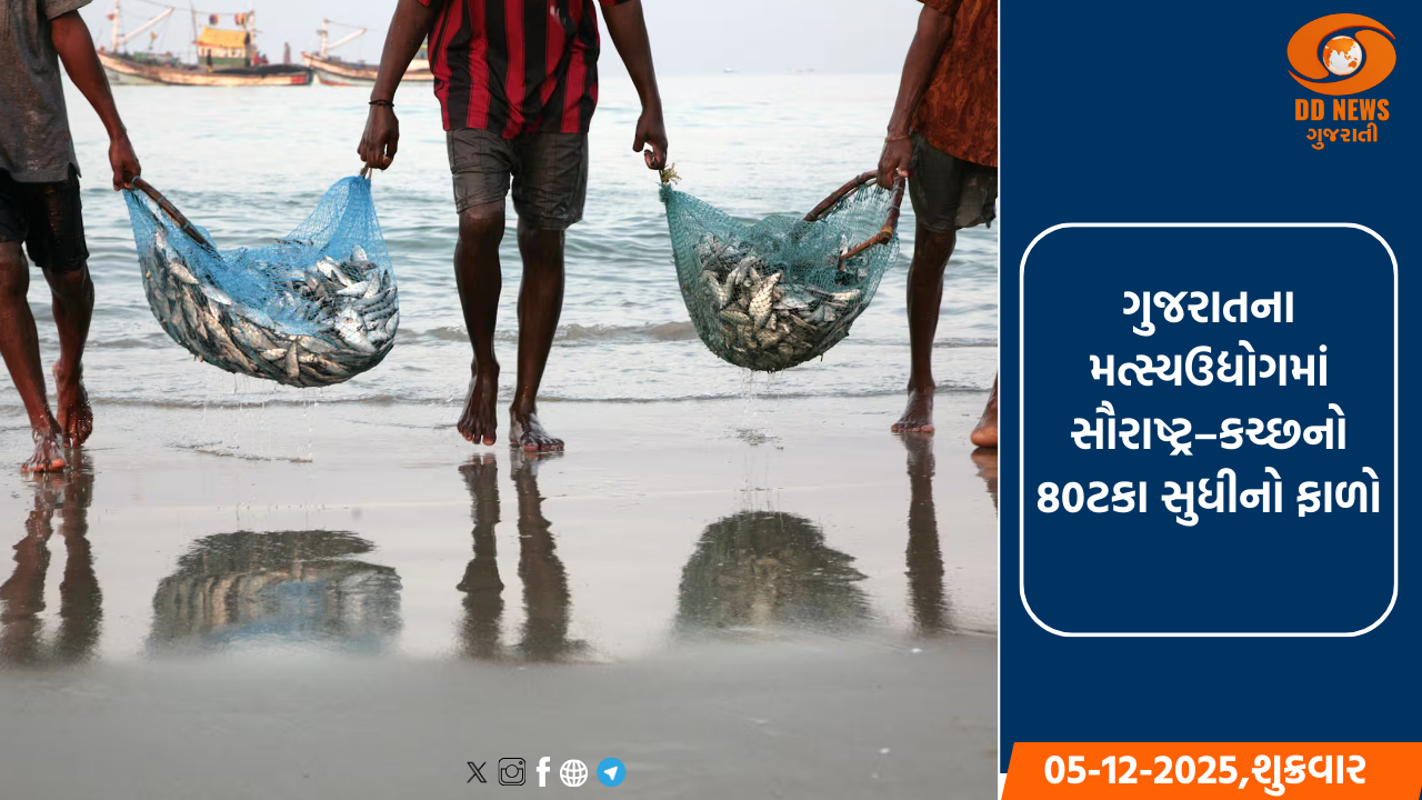 ગુજરાતના મત્સ્યઉદ્યોગમાં સૌરાષ્ટ્ર–કચ્છનો 80ટકા સુધીનો ફાળો