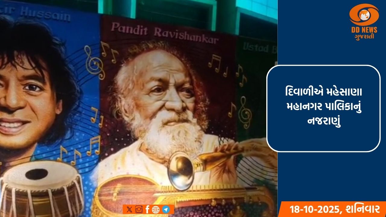 પ્રથમ દિવાળીએ મહેસાણા મહાનગર પાલિકાનું નજરાણું: 'મનોહર મહેસાણા, સુંદર મહેસાણા' અભિયાન
