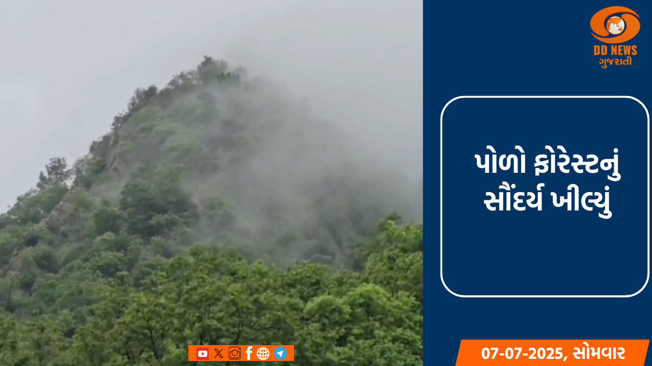   પોળો ફોરેસ્ટનું સૌંદર્ય ખીલ્યું, પણ ઐતિહાસિક જૈન મંદિર બંધ રહેતા પ્રવાસીઓમાં નિરાશા