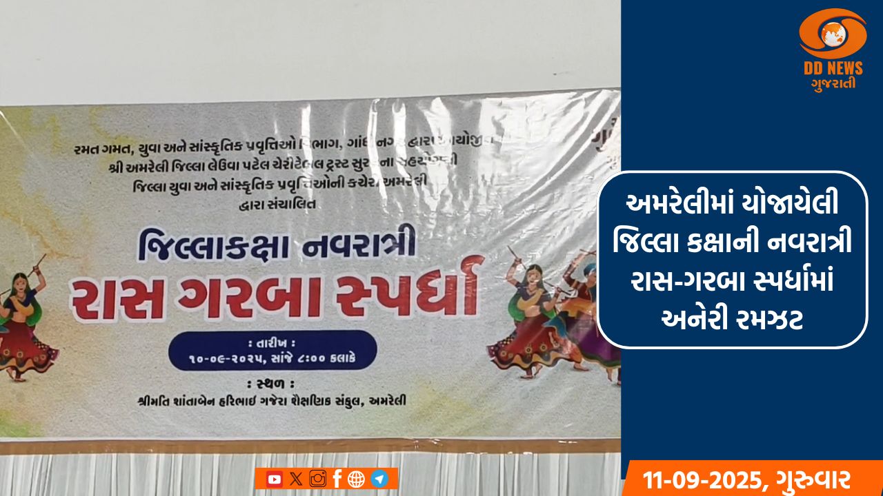 અમરેલીમાં યોજાયેલી જિલ્લા કક્ષાની નવરાત્રી રાસ-ગરબા સ્પર્ધામાં અનેરી રમઝટ