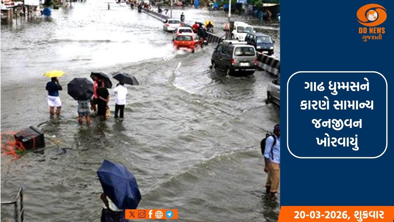 વરસાદ, કરા અને ધુમ્મસથી રાજસ્થાનમાં ઠંડીનો ચમકારો 