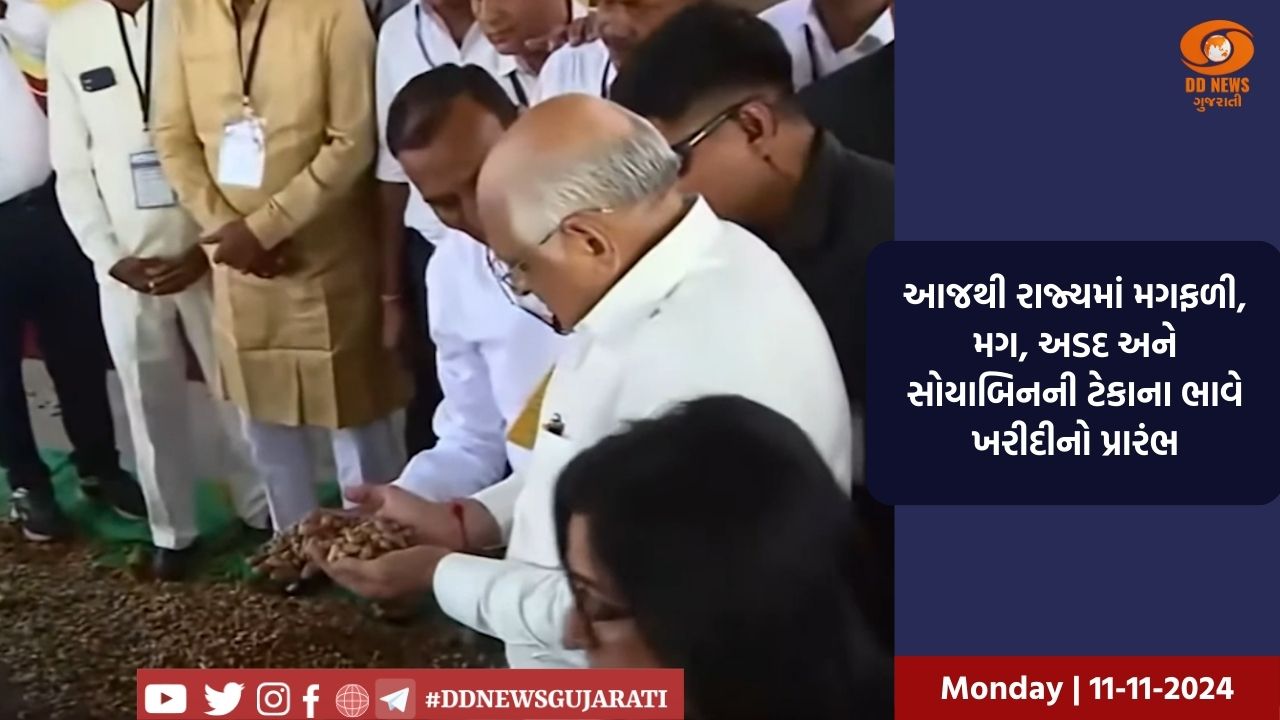 આજથી રાજ્યમાં મગફળી, મગ, અડદ અને સોયાબિનની ટેકાના ભાવે ખરીદીનો પ્રારંભ