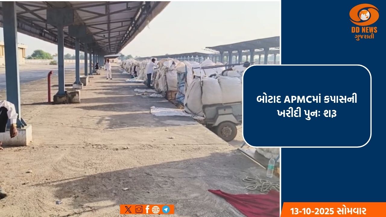બોટાદ APMCમાં કપાસની ખરીદી પુનઃ શરૂ, પોષણક્ષમ ભાવ મળતા ખેડૂતોમાં સંતોષ