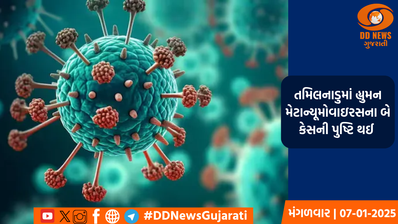 તમિલનાડુમાં હ્યુમન મેટાન્યૂમોવાઇરસના બે કેસની પુષ્ટિ થઈ 