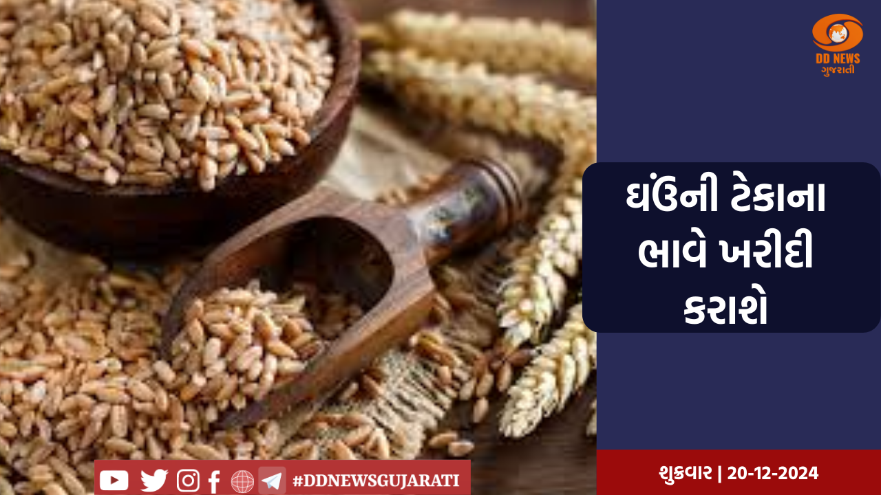ઘઉંની ટેકાના ભાવે ખરીદી કરાશે